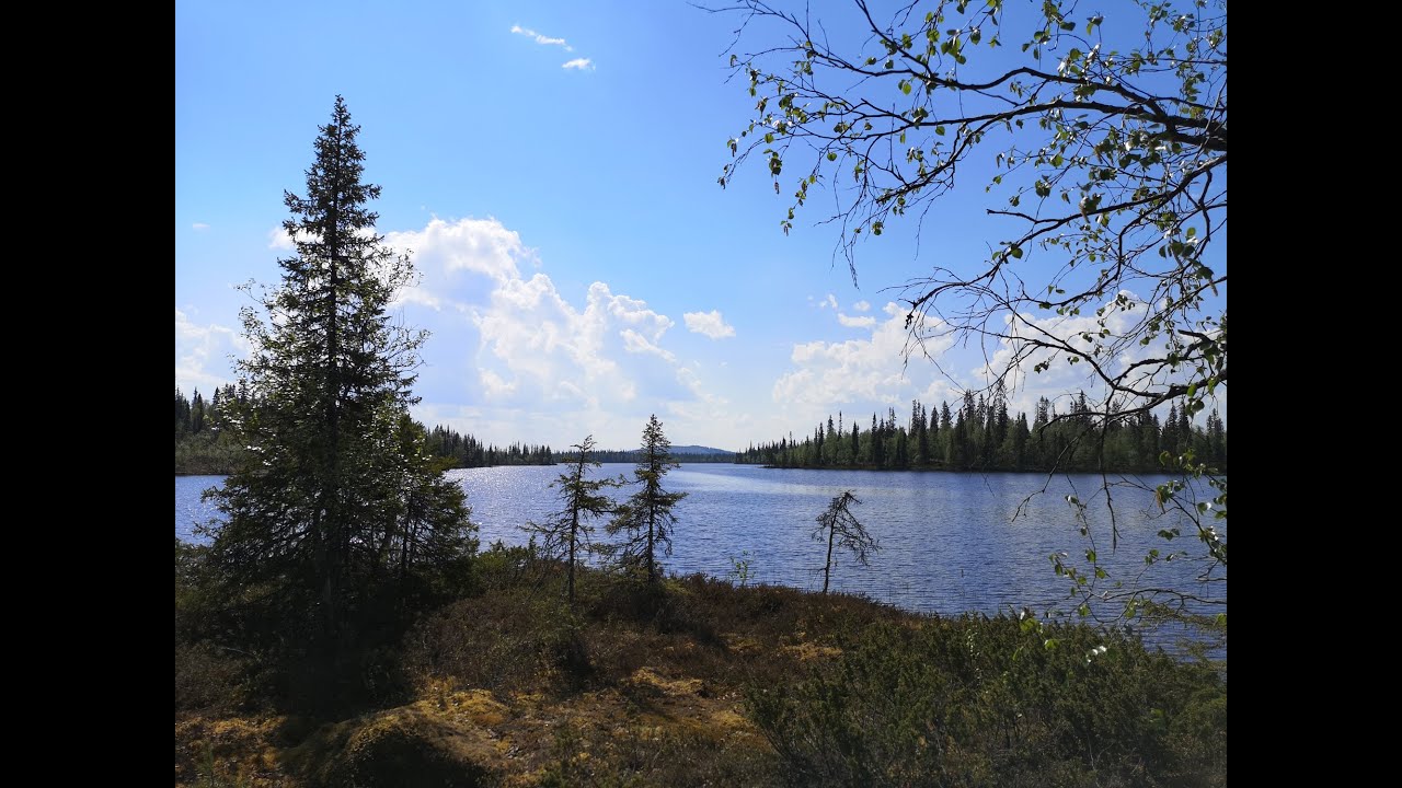 Kesäkuu 2024 Salla