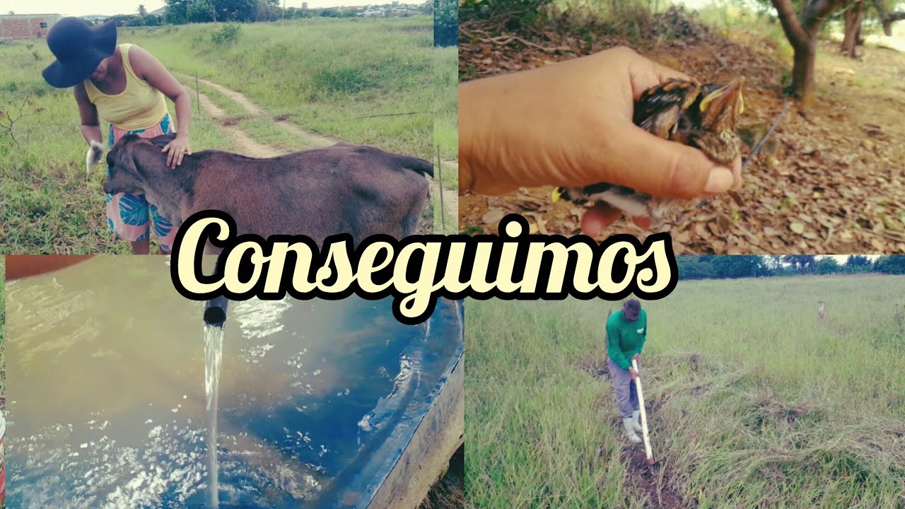 Água no sitio, trabalhamos mas conseguimos.