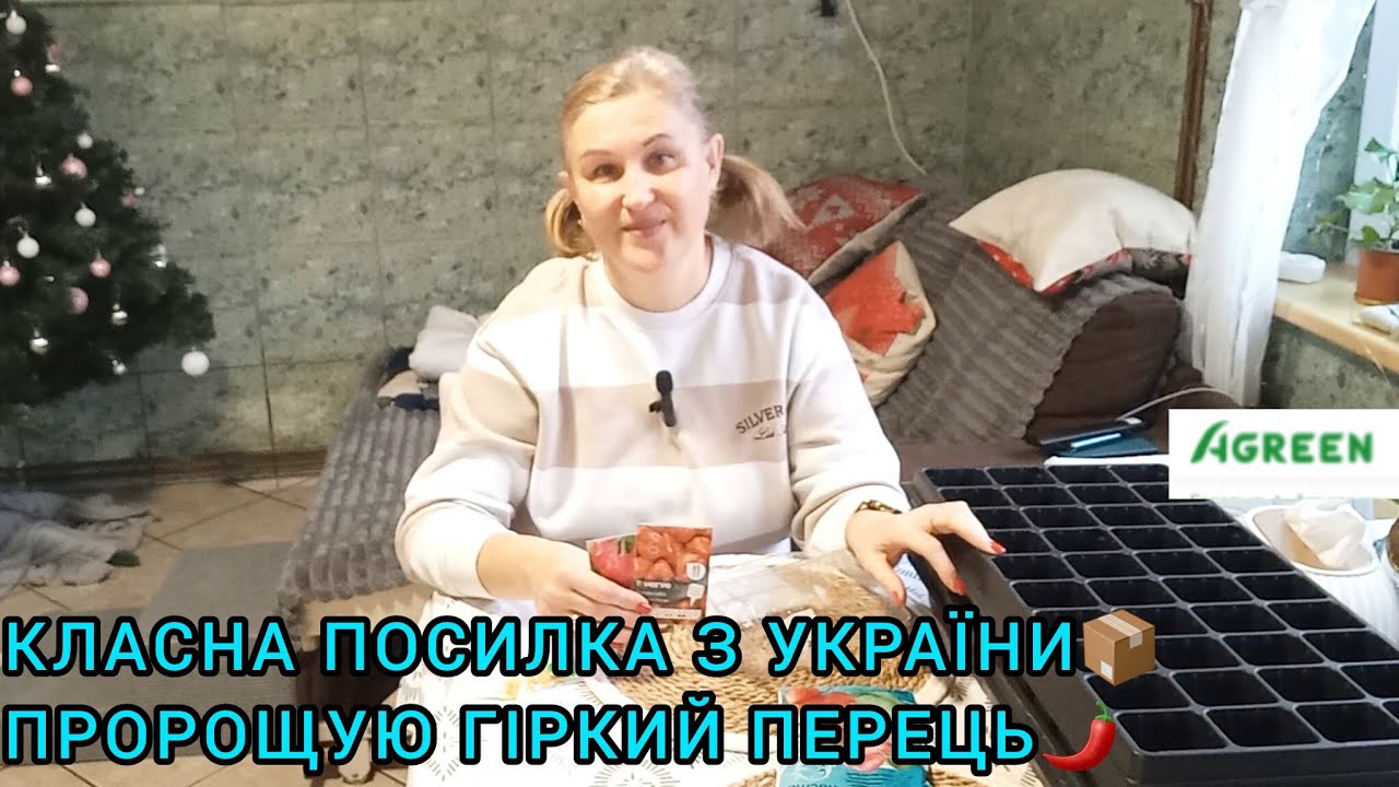 ЦІКАВА ПОСИЛКА З УКРАЇНИ📦ПРОРОЩУЮ ГІРКИЙ ПЕРЕЦЬ#пророщуваннянасіння#кесатидлярозсади#розсада#насіння