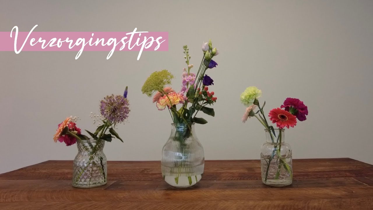 Hoe verzorg je je bloemen het best? 6 verzorgingstips