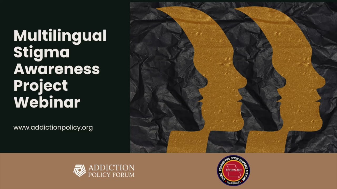 Multilingual Stigma Awareness Project Webinar