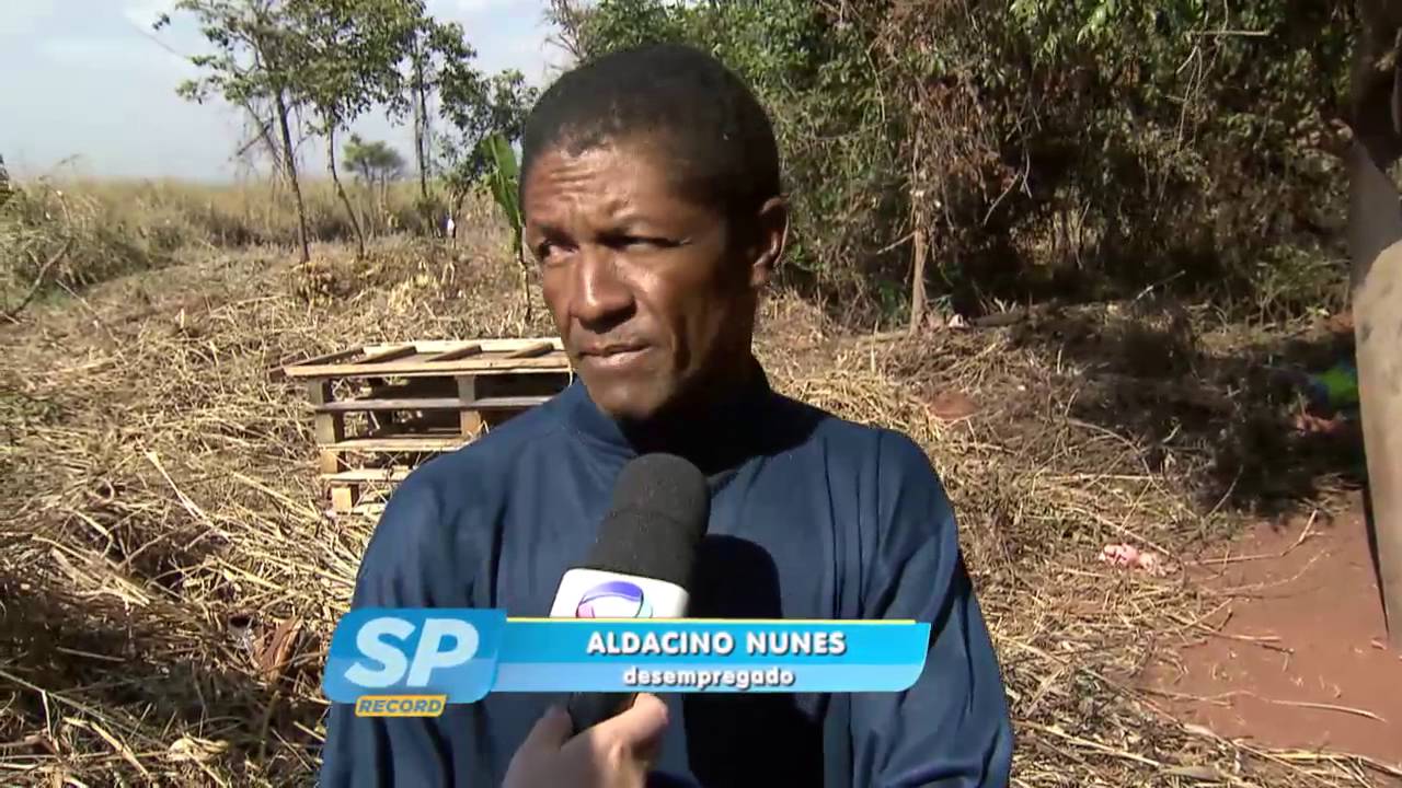 Família vive no meio do mato em Pederneiras