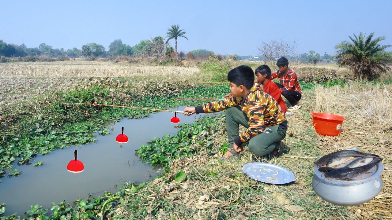 Fishing Video || Three expert Brothers fish catching happily in the village canal || Best hook trap