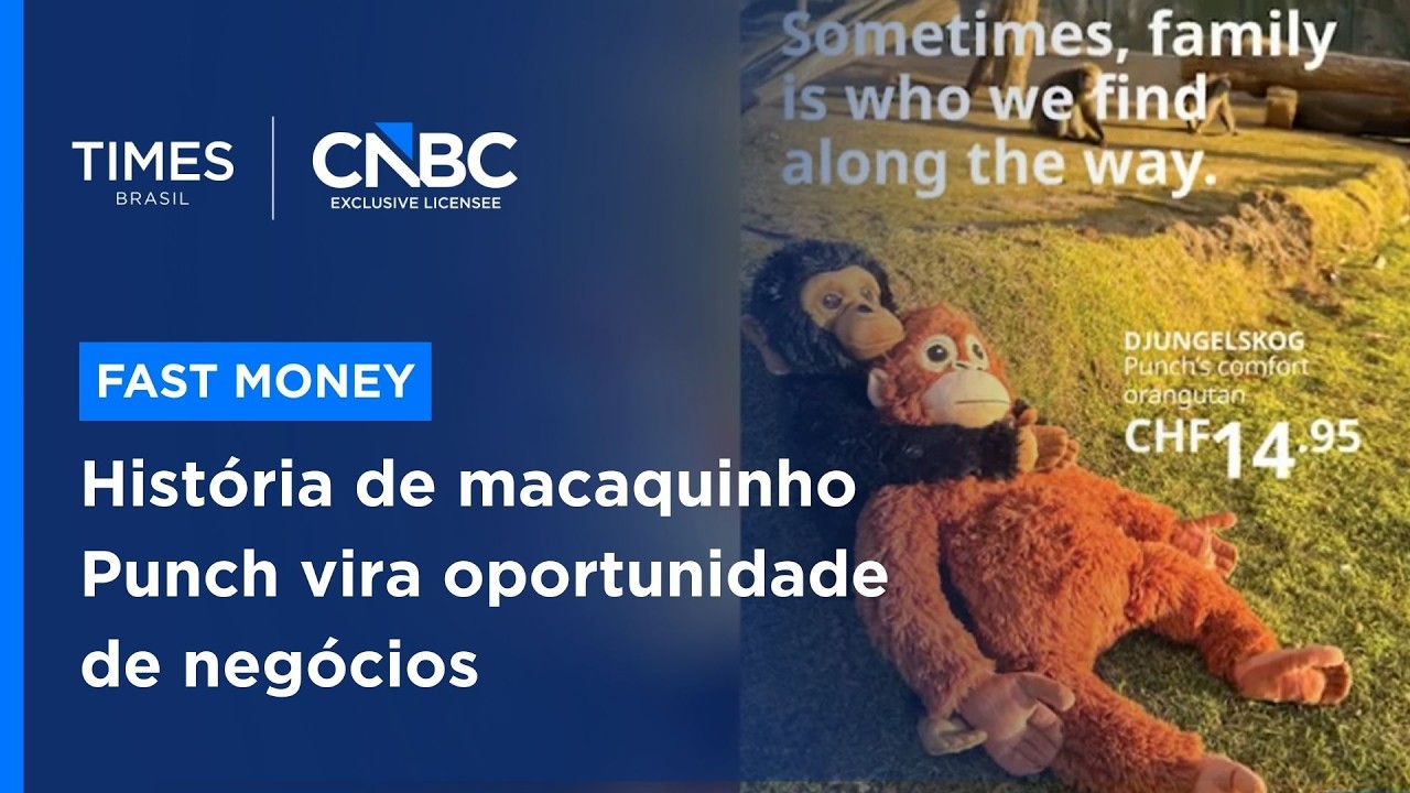 Macaco Punch vira fenômeno no Japão e dispara vendas de pelúcias pelo mundo; entenda negócio