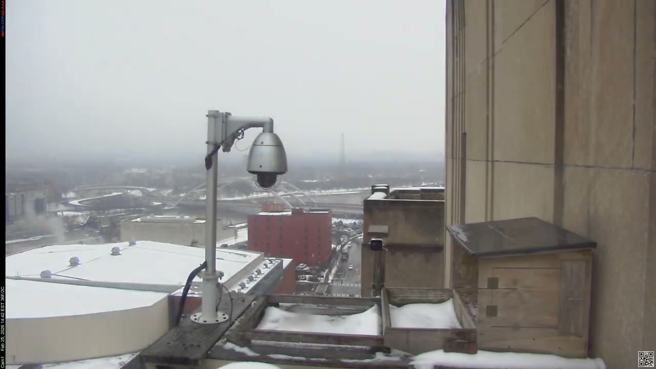 Camera 1 - 02/25/26