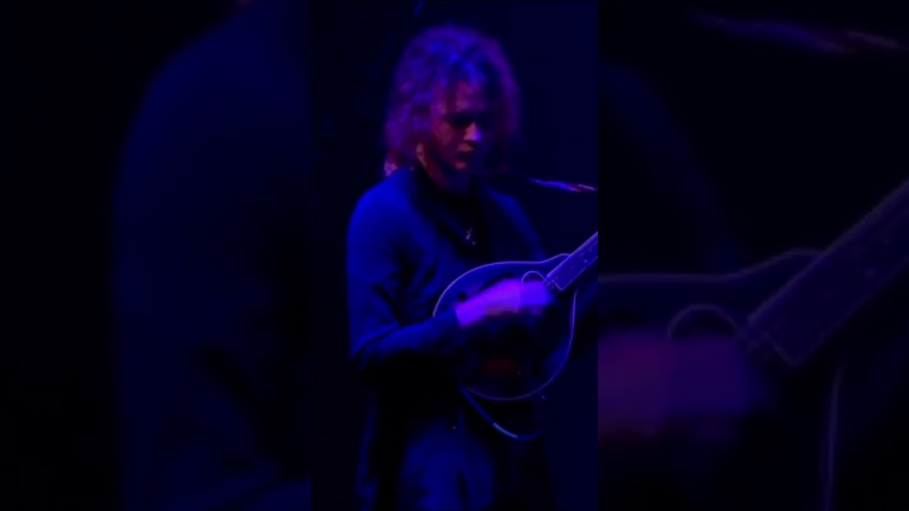 Mandolin solo 