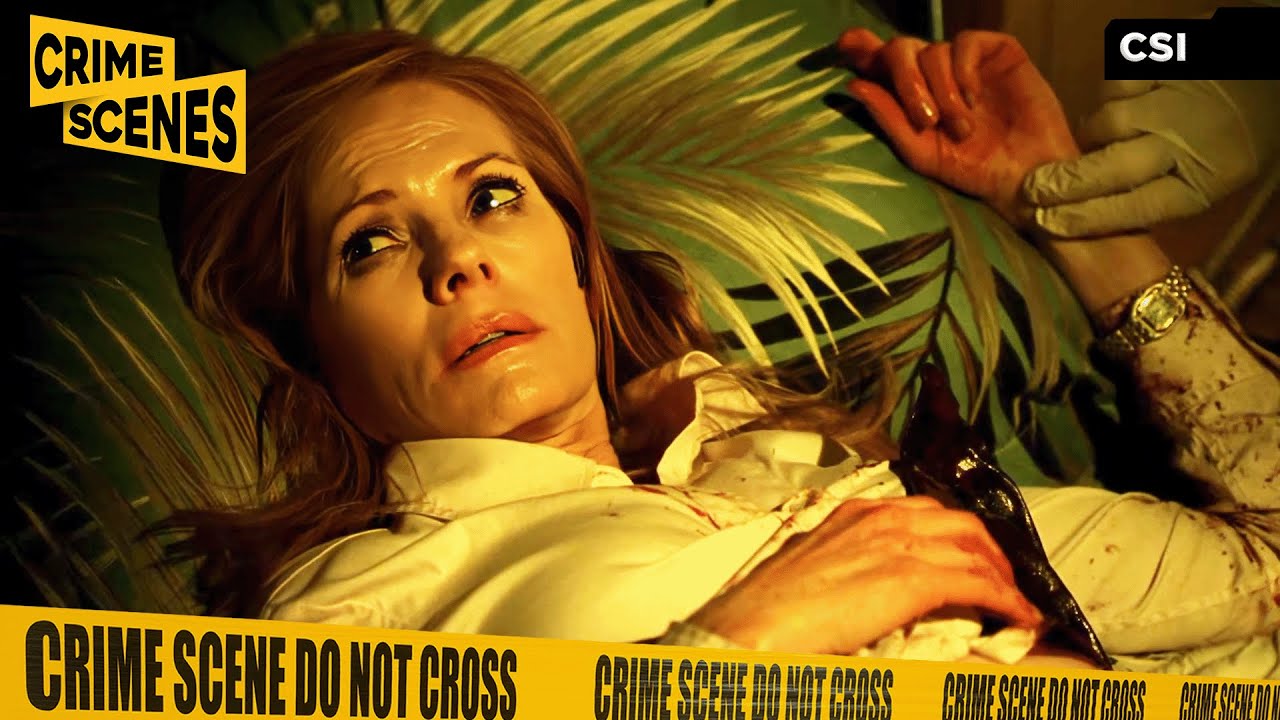 Catherine Willows Has Been Shot! | CSI (Ted Danson, Marg Helgenberger, Robert David Hall)