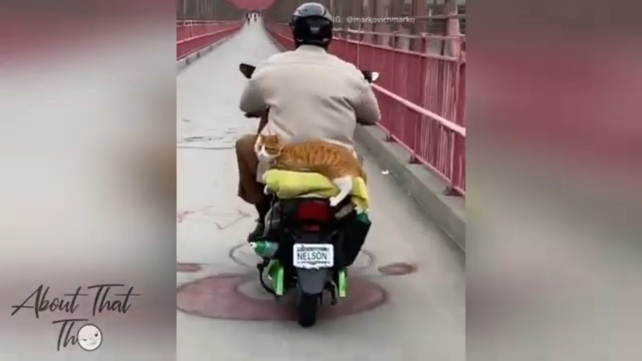 ONLY IN NEW YORK #32
