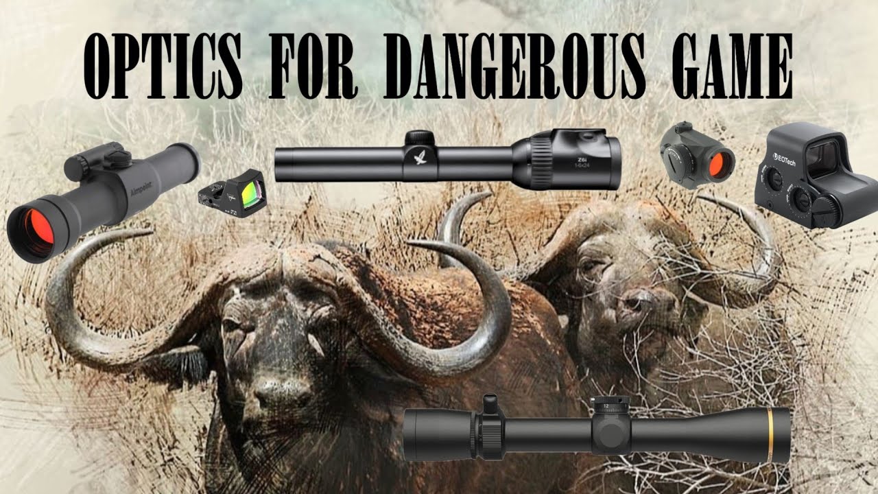 OPTICS FOR DANGEROUS GAME