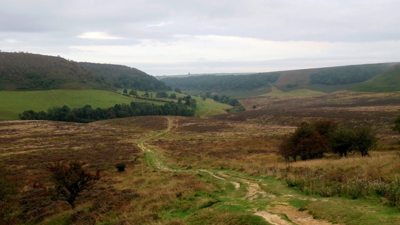 Hole of Horcum & Dalby Forest, North York Moors - 25 September 2021