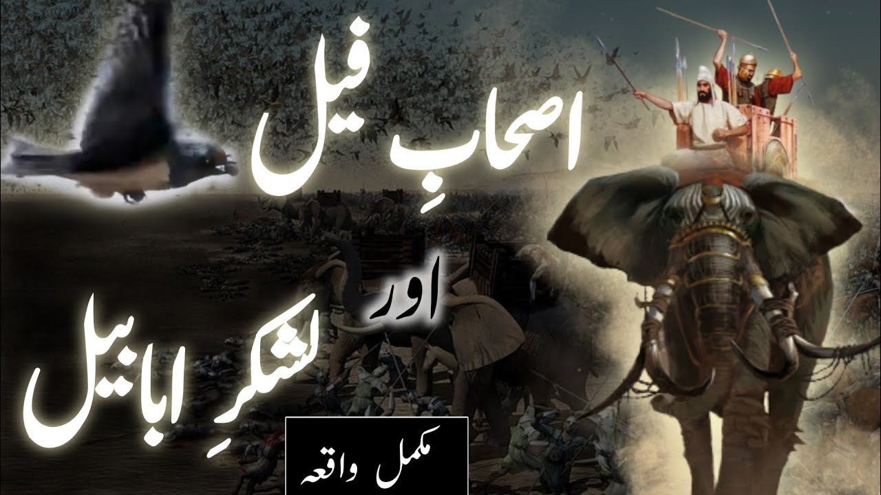 Ashab e feel aur Ababeel ka waqia | Abraha and Ababeel bird story in Urdu | Amber Voice |