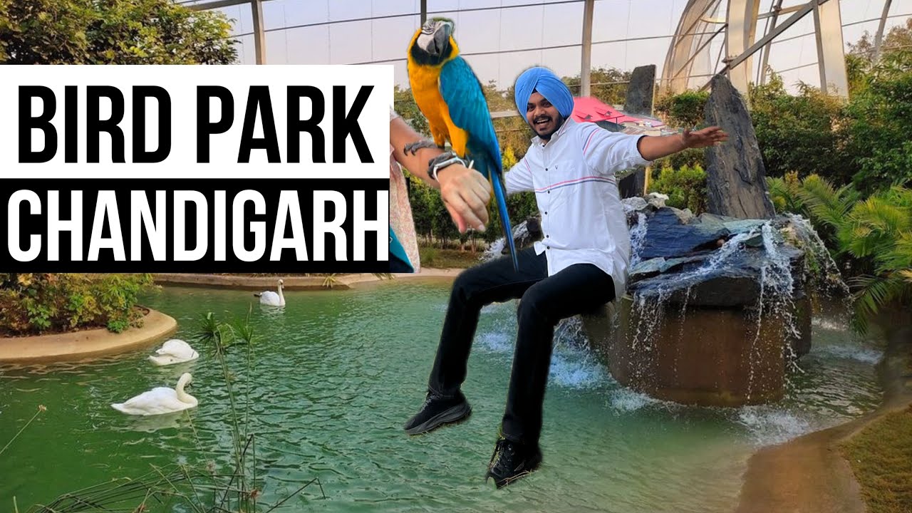 Bird Park Chandigarh | Top Famous Place in Chandigarh | Ticket Timing