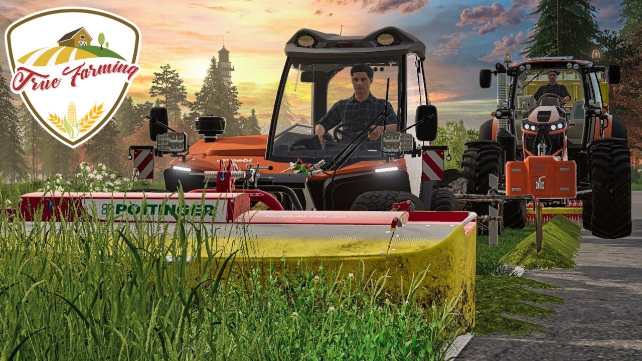 LS19 True Farming #1099 - GRÜNSTREIFENPFLEGE mit dem Bauhof! Fritzl nicht erfreut