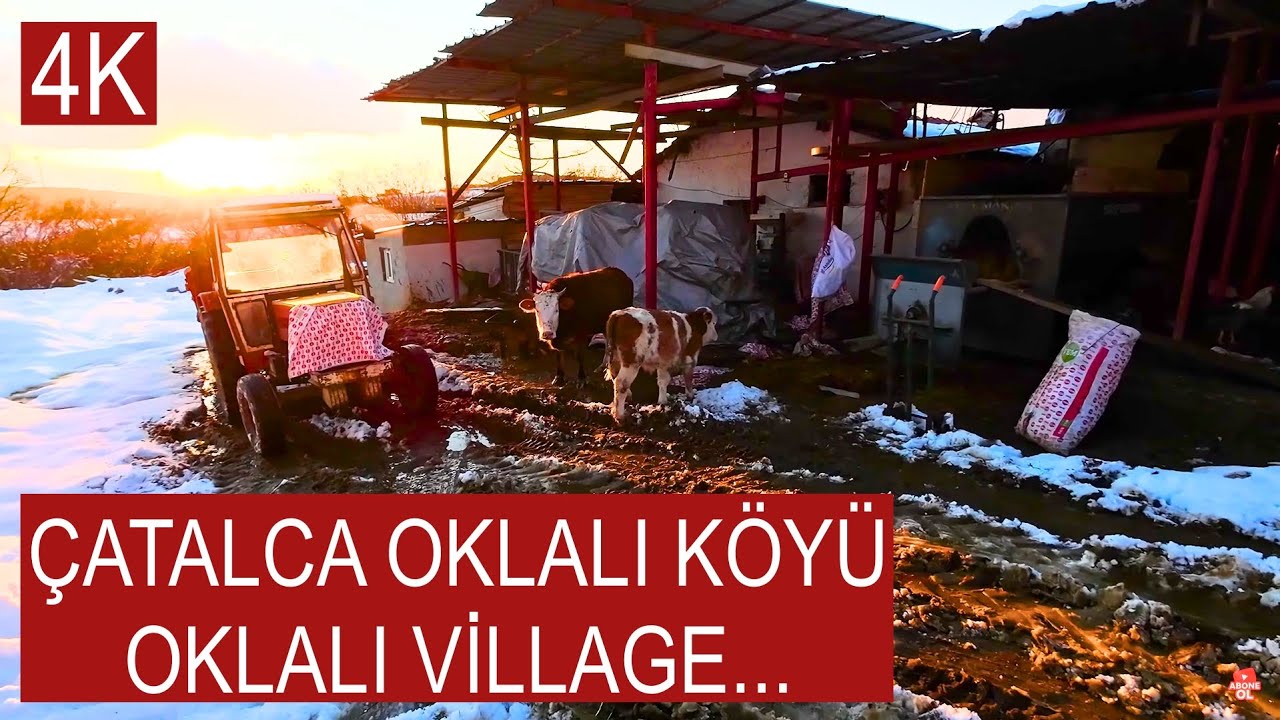 Çatalca Oklalı Köyü... Oklalı village 4K UHD