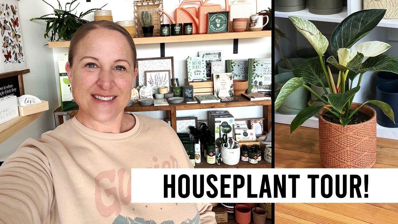 Houseplant Tour | Easy Plants + Rare Plants