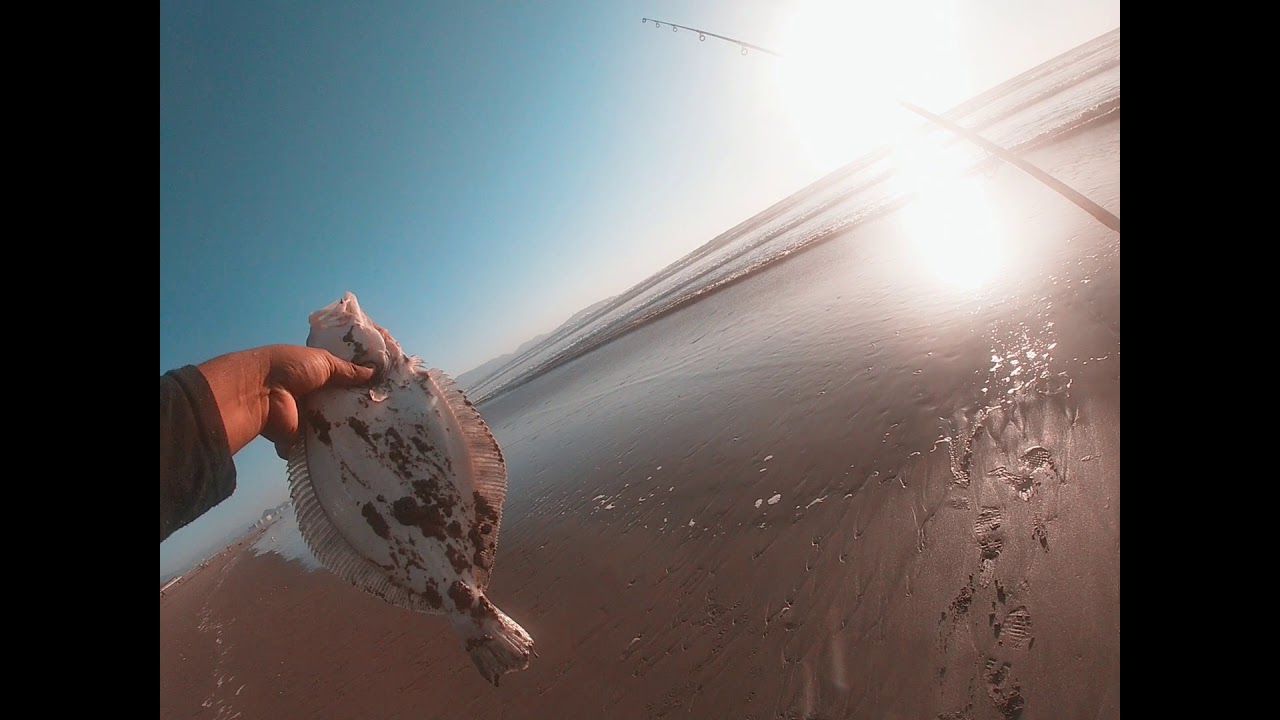 pesca sustentable 