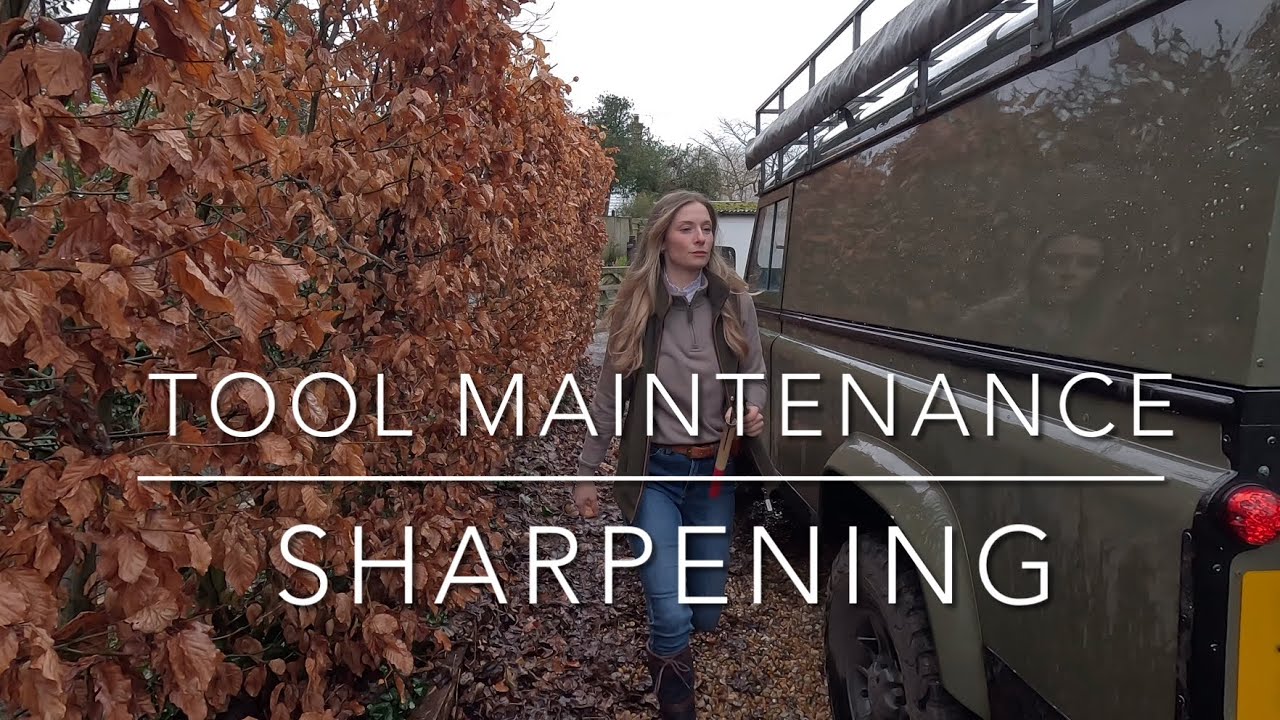 Life Update | Tool Maintenance and Sharpening  