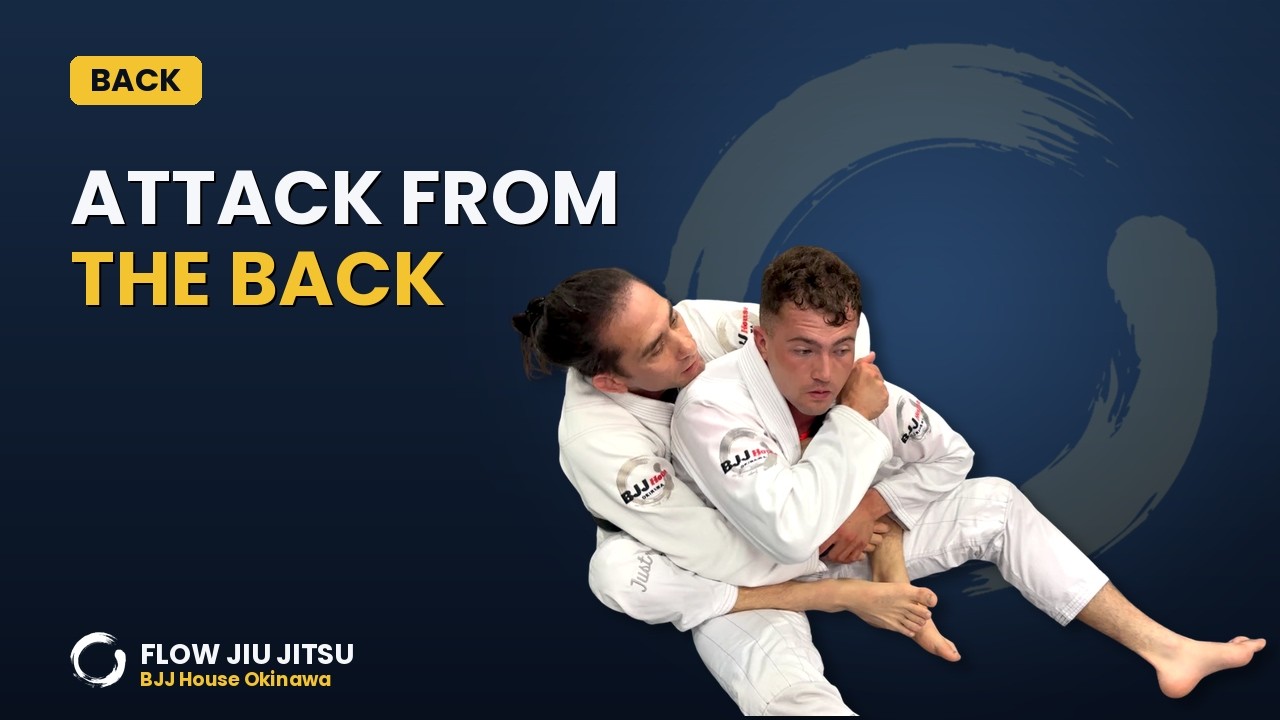 Mastering Back Position Attacks / Full Class 4-4 