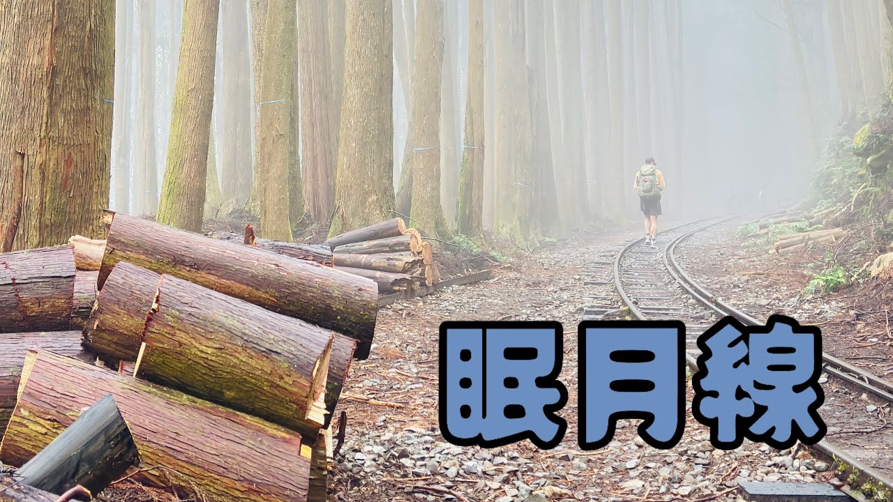 [阿里山] 終於來到最美的健行路線-眠月線｜幾乎沒有爬坡 盡情欣賞美景吧！