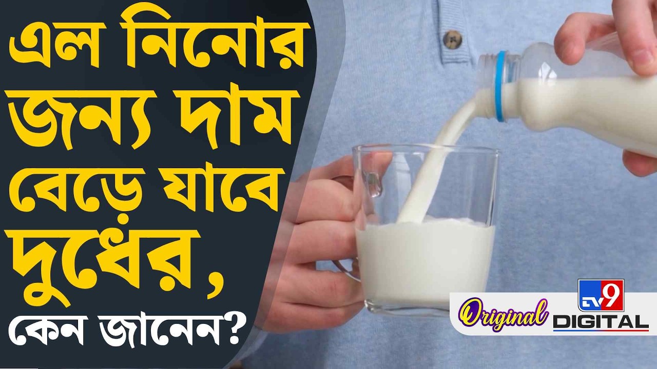 Milk Price Hike: কী বলছে আমূল এবং মাদার ডেয়ারি? | #TV9D