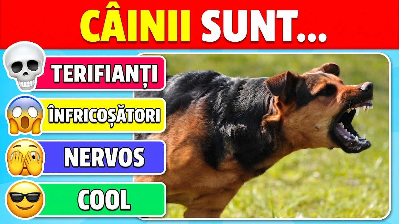 LISTA DE FRICI: Cât de Speriat Ești? 😱