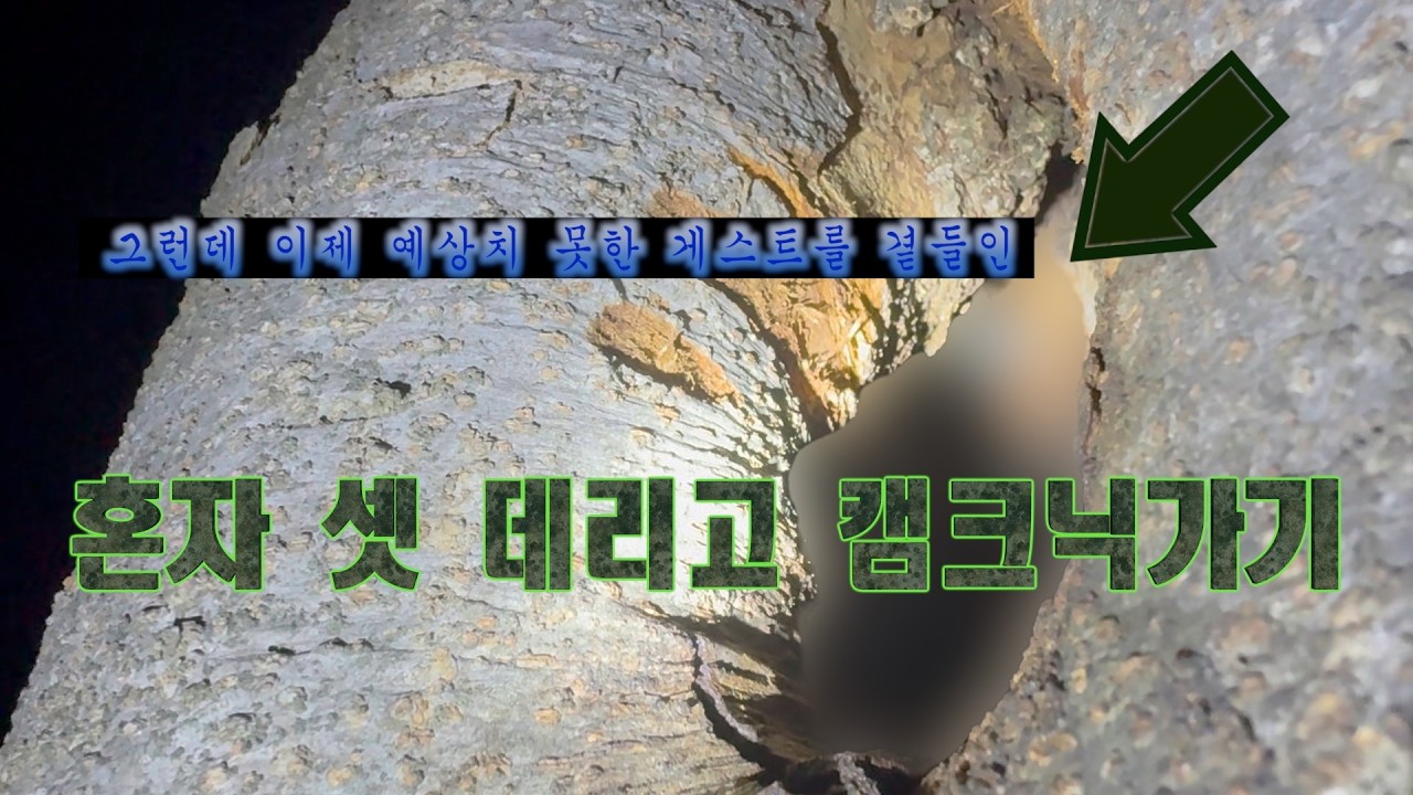 혼자 셋데리고 캠크닉ㅣ 세종합강캠핑장ㅣ 초대하지않은 게스트까지 함께