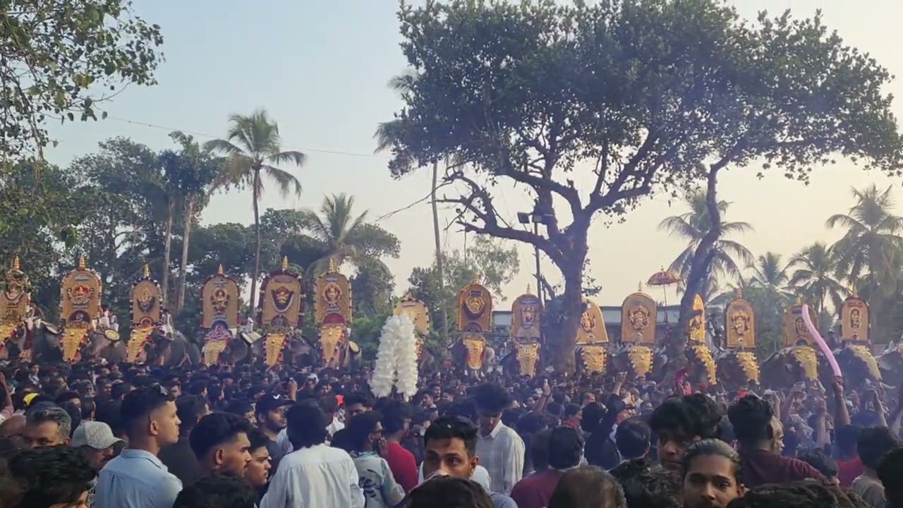 പന്തല്ലൂർ പൂരം 2026🔥