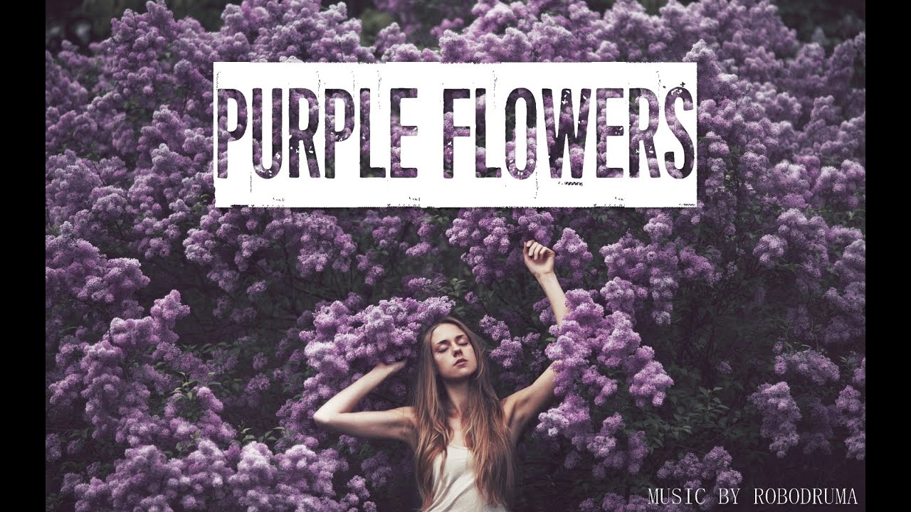 Alternative Instrumental (Beat) ''Purple Flowers'' (by Robodruma) SOLD