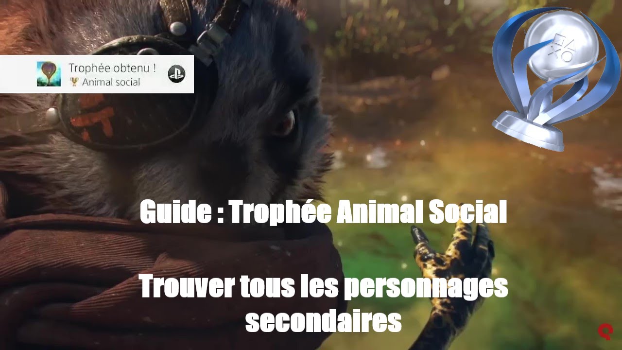 BIOMUTANT : Guide Trophée Animal Social ( Tous les personnages secondaires)
