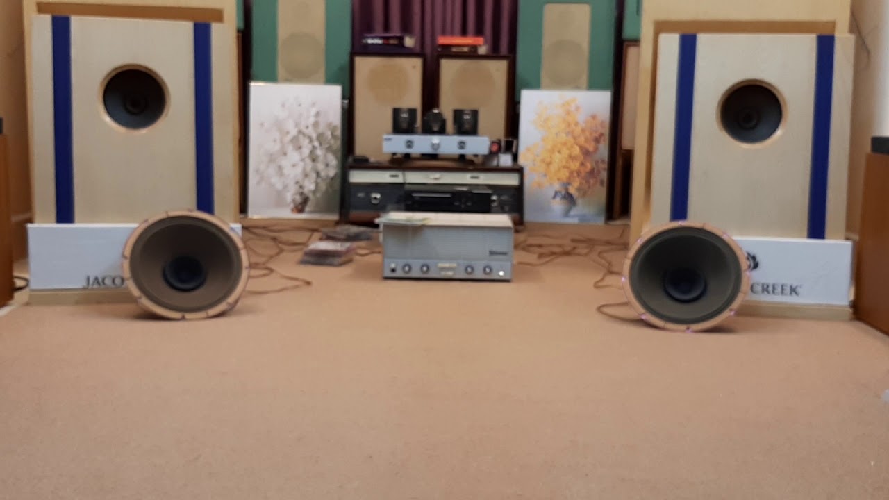 Test full range Philips AD 1255.