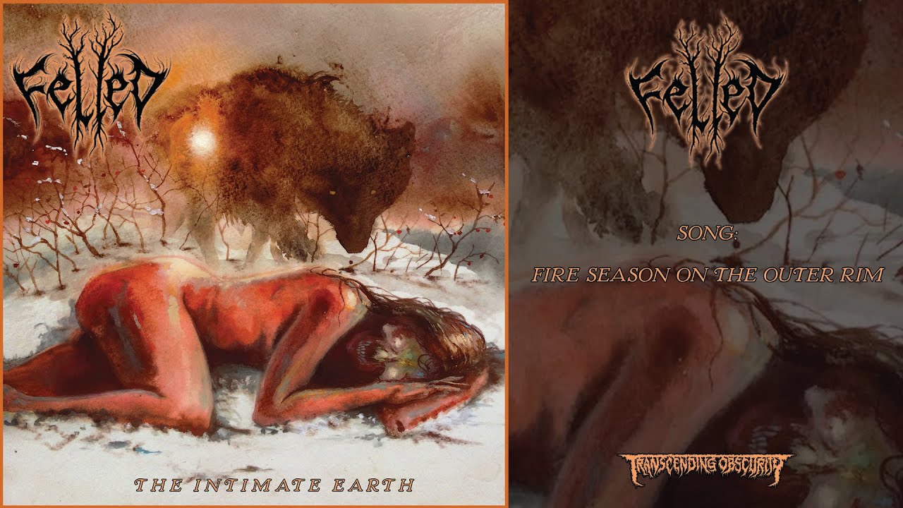 FELLED (US) - Fire Season on the Outer Rim (Atmospheric/Folk Black Metal) #atmosphericblackmetal