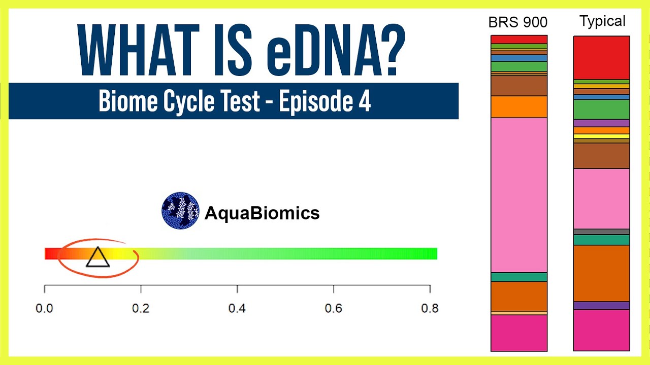 Ep 4: Can AquaBiomics eDNA Aquarium Testing Help Us Find the Perfect Biome Cycle?