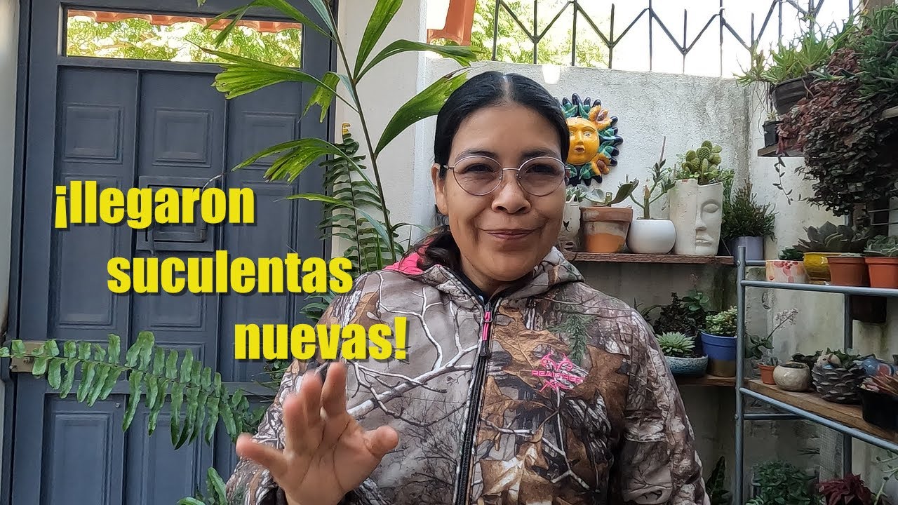 ¡Nuevas suculentas!❤️ así llegaron | Planta Me