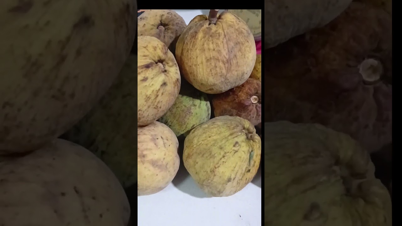 fresh from indang cavite#kain po tayo