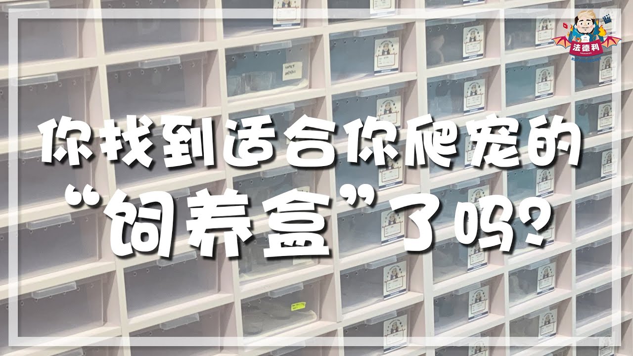 你找到适合你爬宠的&ldquo;饲养盒&rdquo;了吗？