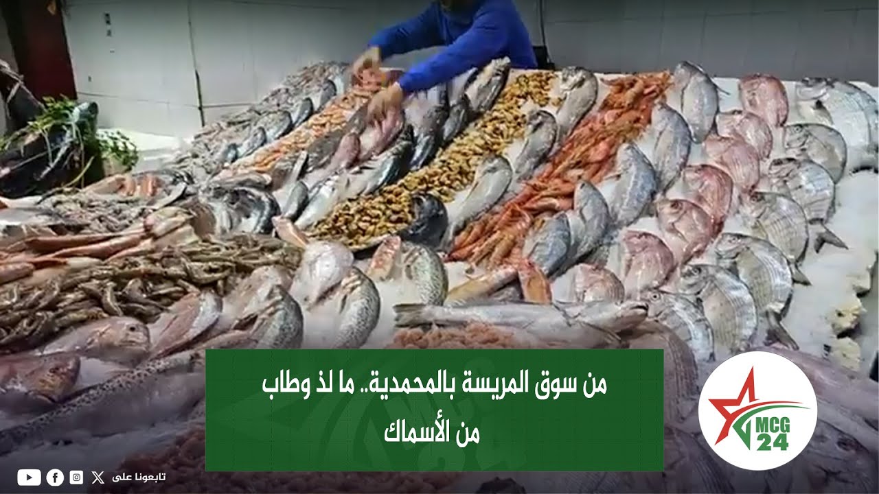 من سوق المريسة بالمحمدية.. ما لذ وطاب من الأسماك