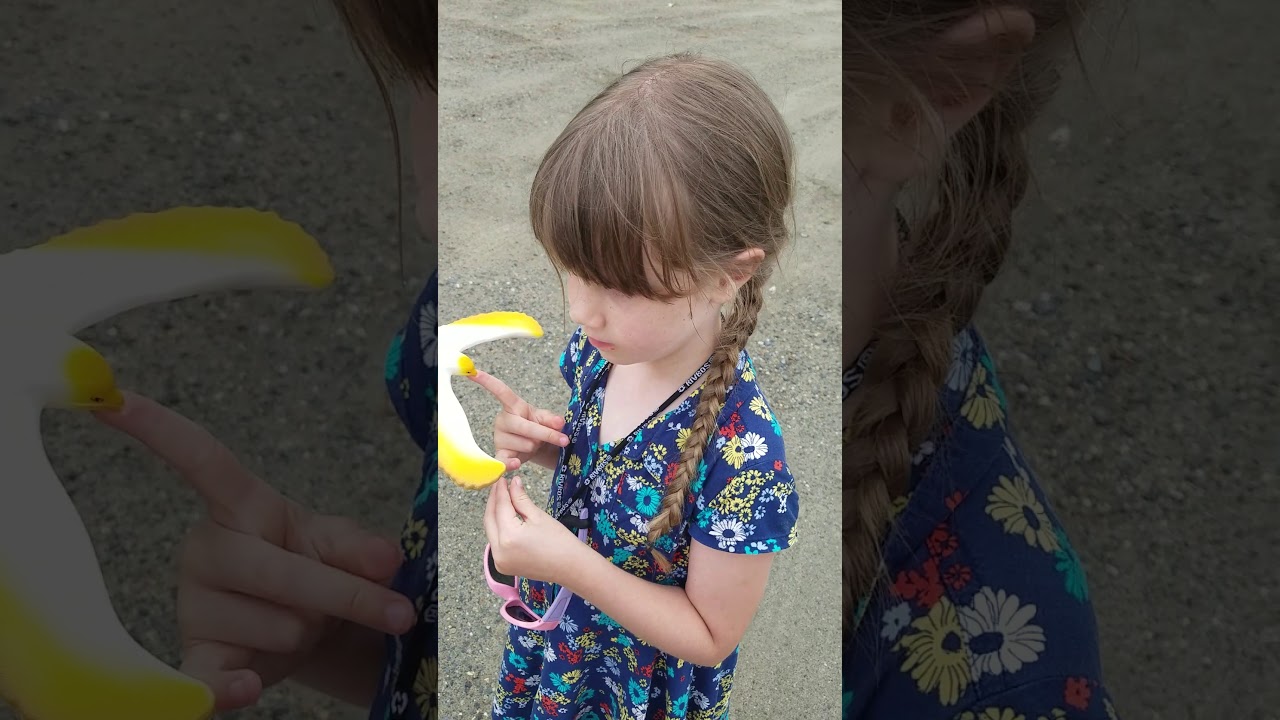Balancing an eagle on our fingertip in Vermont