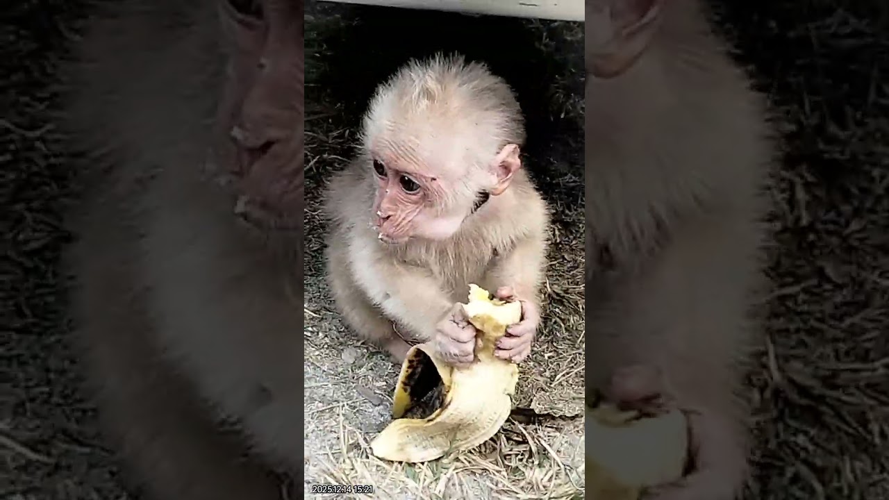 Love the animals..they also like us.