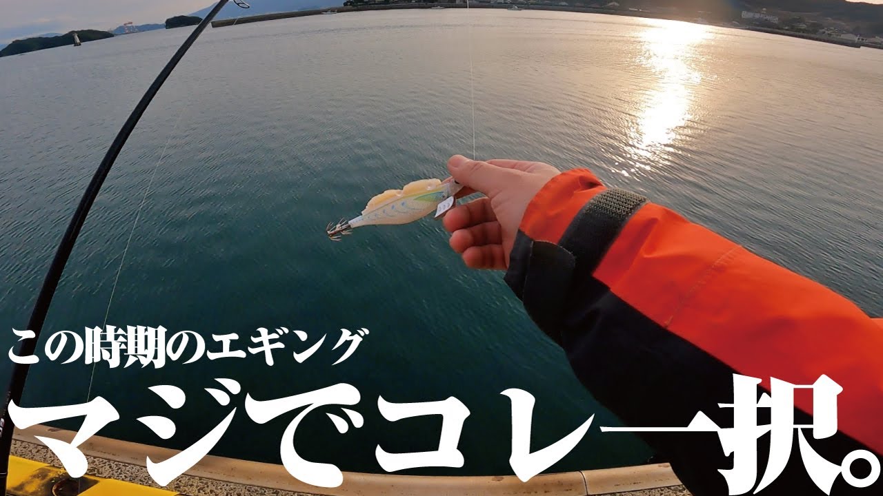 エギング苦手な人にもオススメ。寒い時でも楽しめる一風変わったエギングを紹介しよう。