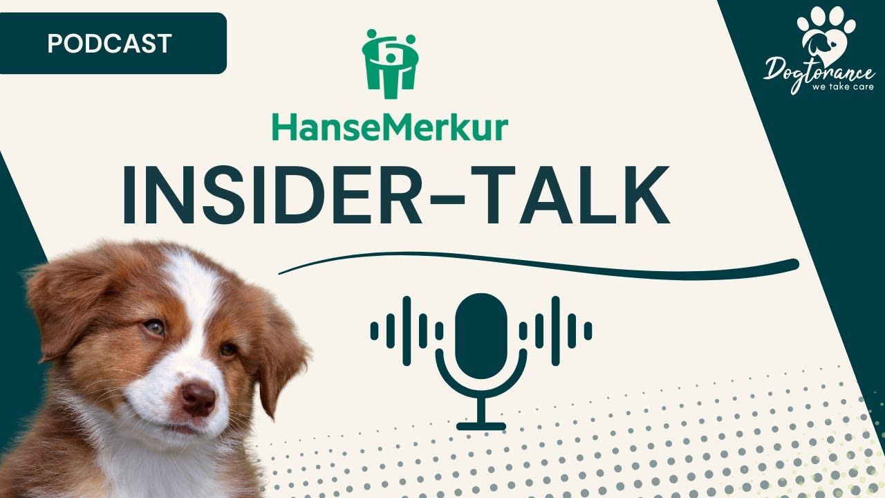 Geheimtipps vom INSIDER! Passt die HanseMerkur Tierkrankenversicherung für deinen Hund?