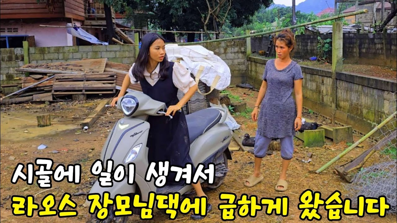도시에 나간 자식들이 시골에 모이게 된 이유가. 이제는 언제 도시로 갈지 모를거 같습니다