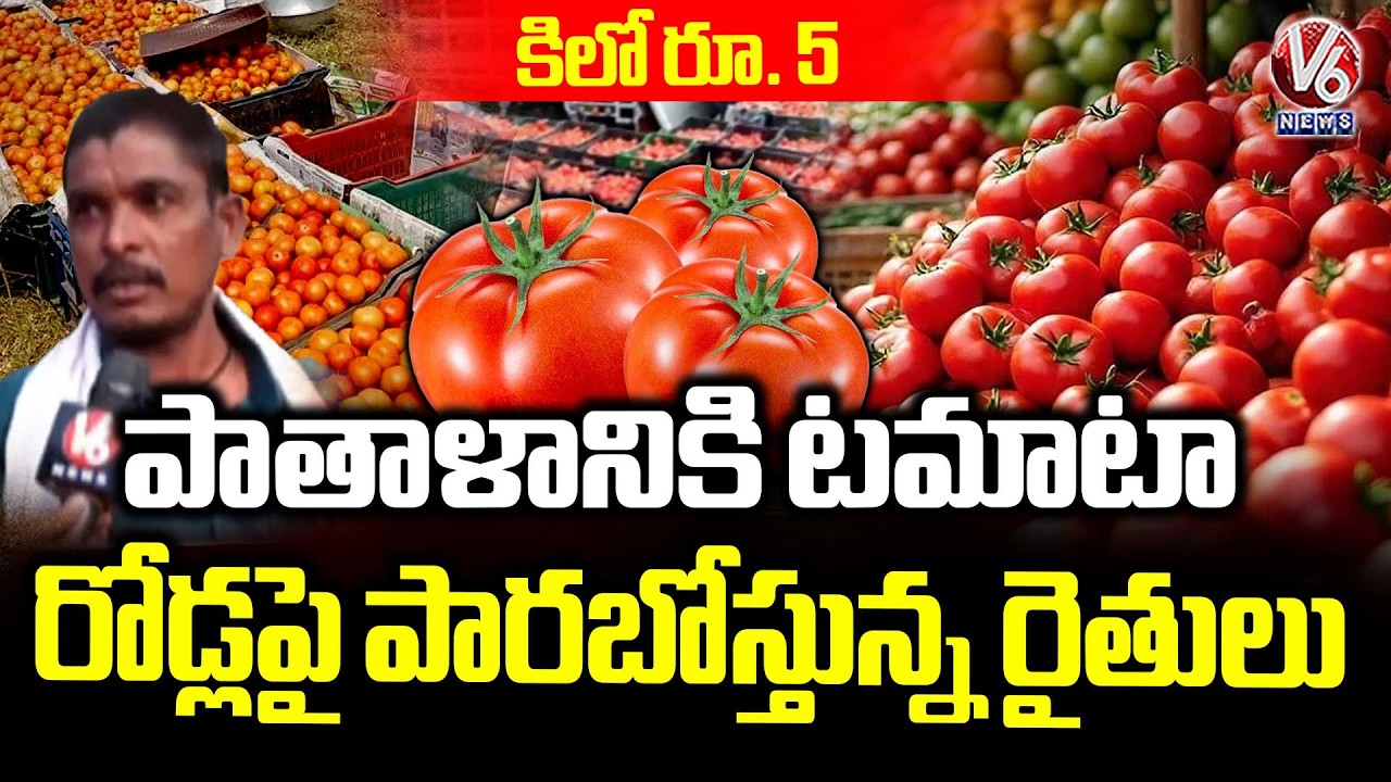 Farmers In Concern Due To Tomato Prices Drop | Rs 5 per kg | V6 News