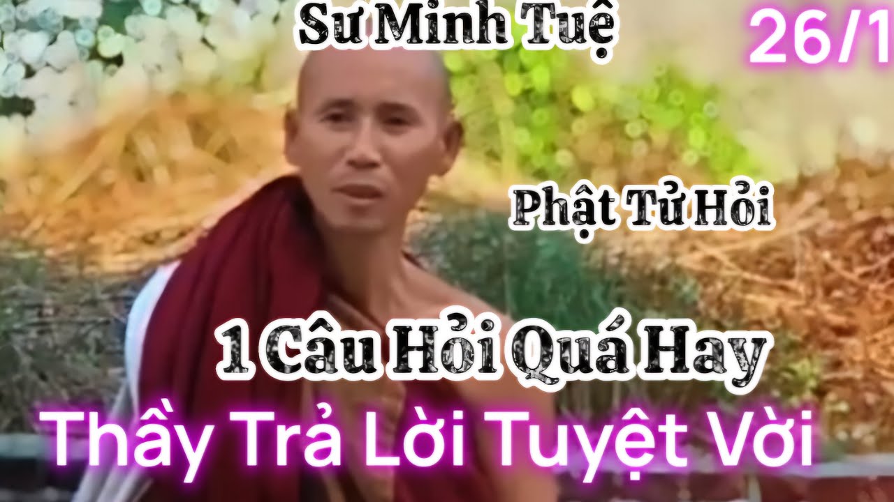 26/1 1 Câu hỏi phật tử hỏi Thầy quá hay ,Sư Minh Tuệ trí tuệ khai thị trả lời tuyệt vời