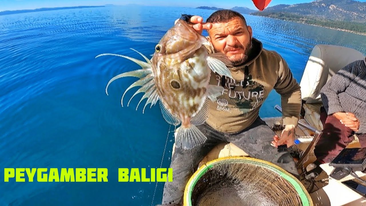 Gökova körfezinde Tavuk göğüsüyle 25 kg çeşit çeşit balık tuttuk babamla  limanda tezgah açıp sattık
