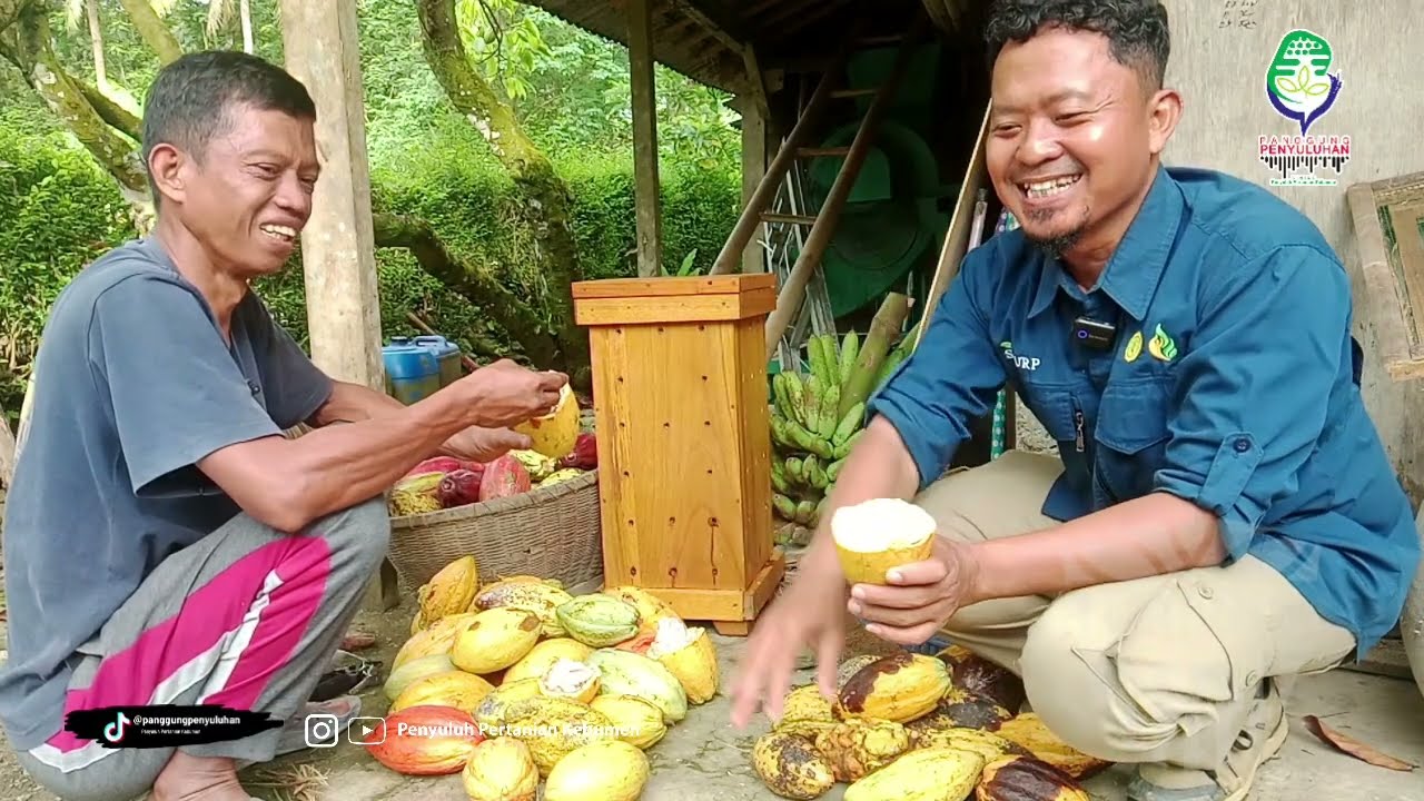 COKKA (Cokelat Kajoran) Menyadarkan KITA
