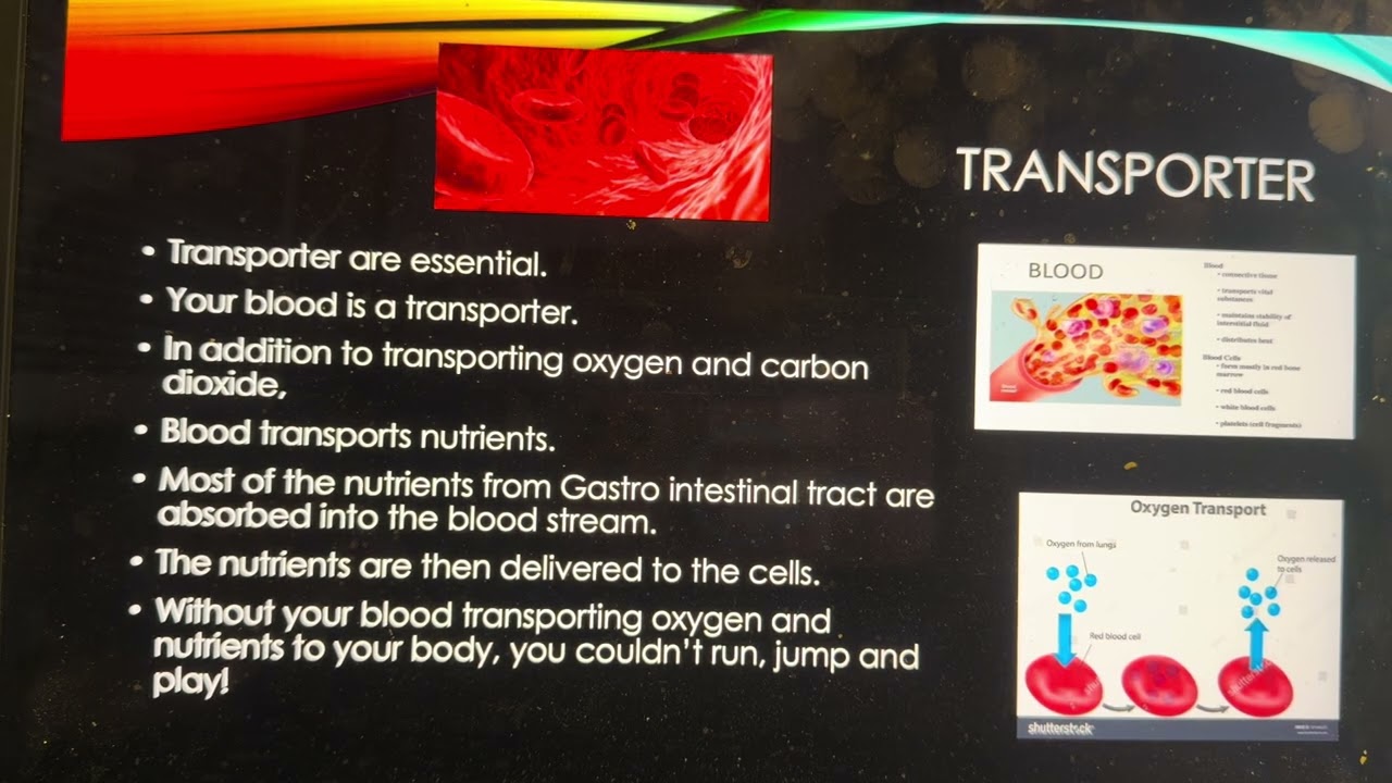 Super Highway circulatory, Chapter 7, part 2