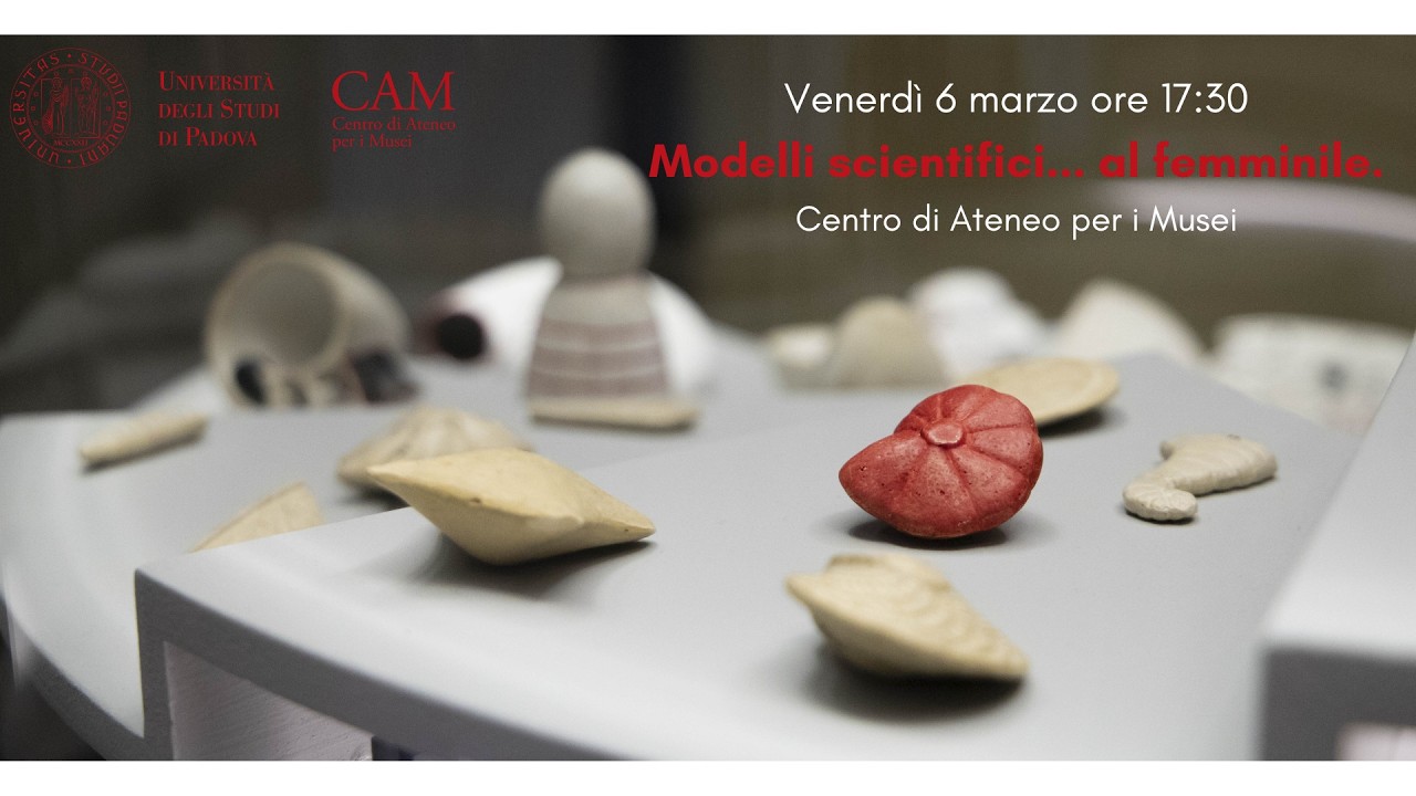 Modelli scientifici...al femminile.