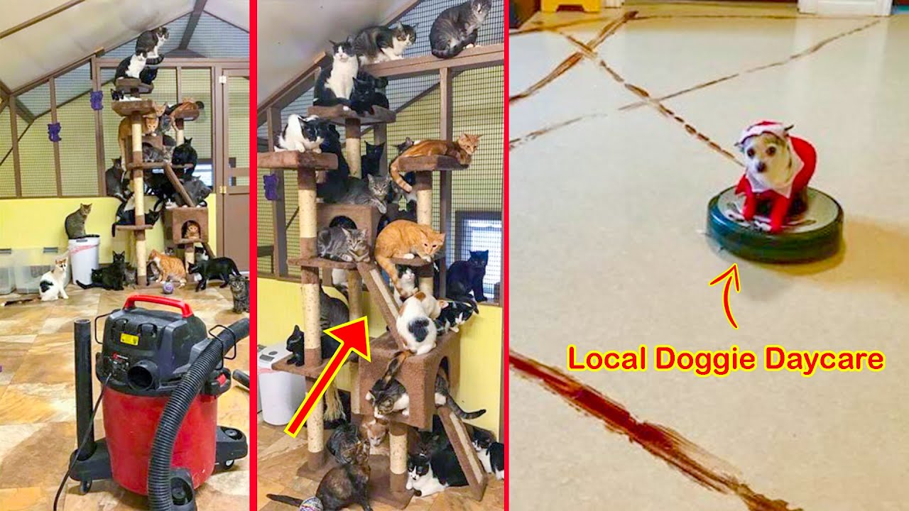 Hilarious Vacuum Cleaning Fails