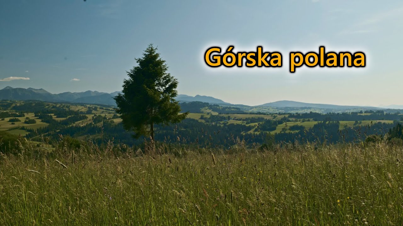 Muzyka relaksacyjna g&oacute;rskiej polany pod lasem - relaksująca | usypiająca