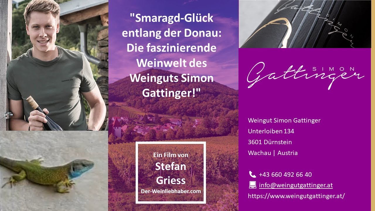 Smaragd-Glück entlang der Donau: Die faszinierende Weinwelt des Weinguts Simon Gattinger!